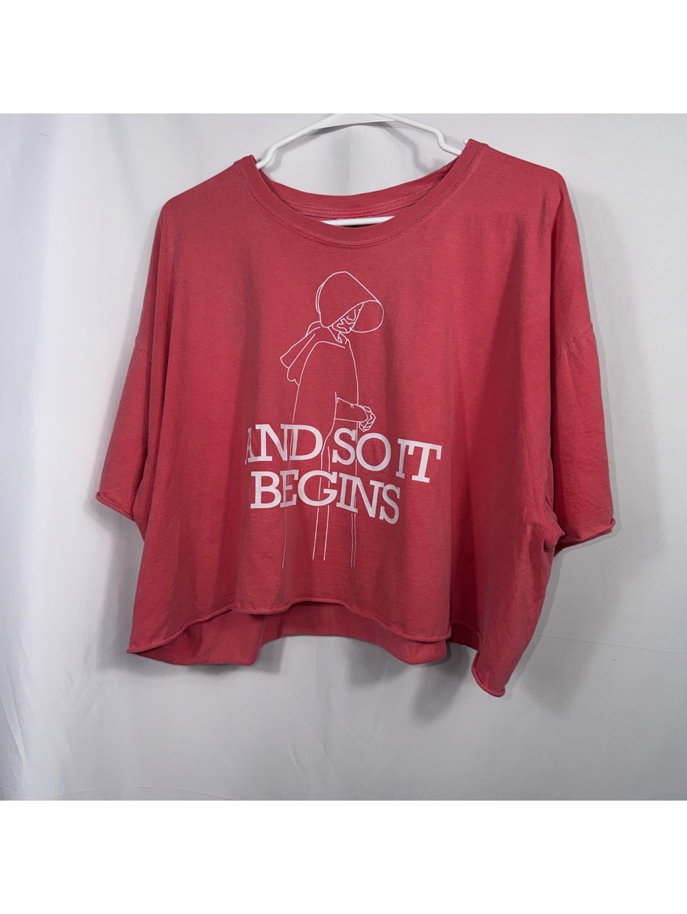 Comfort Colors And So It Begins Crop Tee 2XL